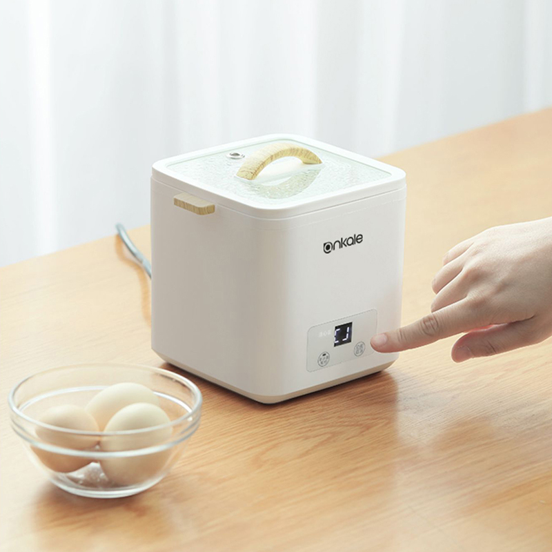 4 Eggs Boiler Steamer Multi Fu - Egg Cooker Rapid 评论和价格